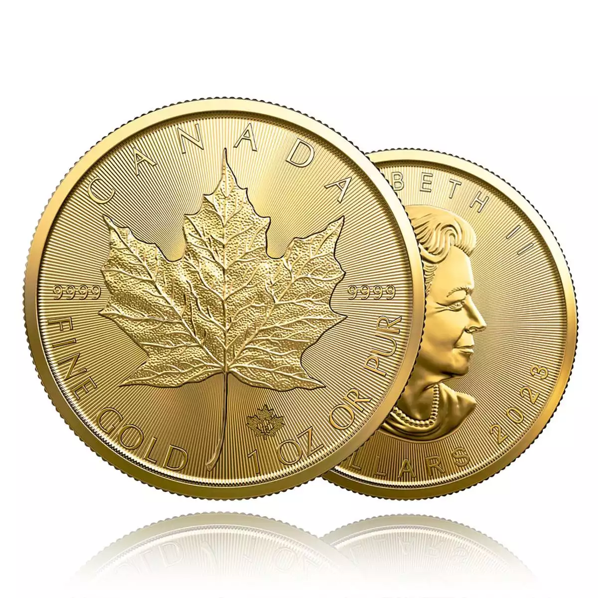 1oz Maple Leaf Gold Coin | Ainslie Bullion