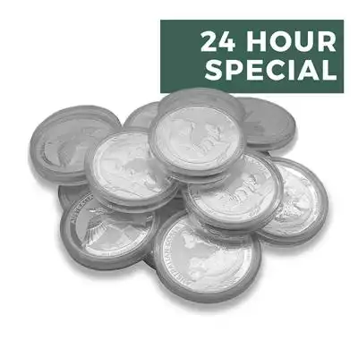 10oz Silver Coin - Various Designs 